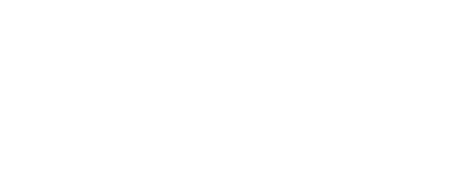 Kees van der Westen logo
